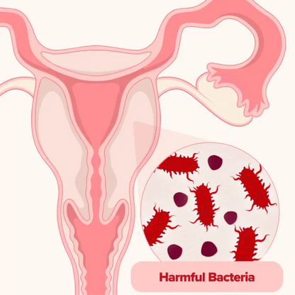 Vaginal Probiotic Capsules™